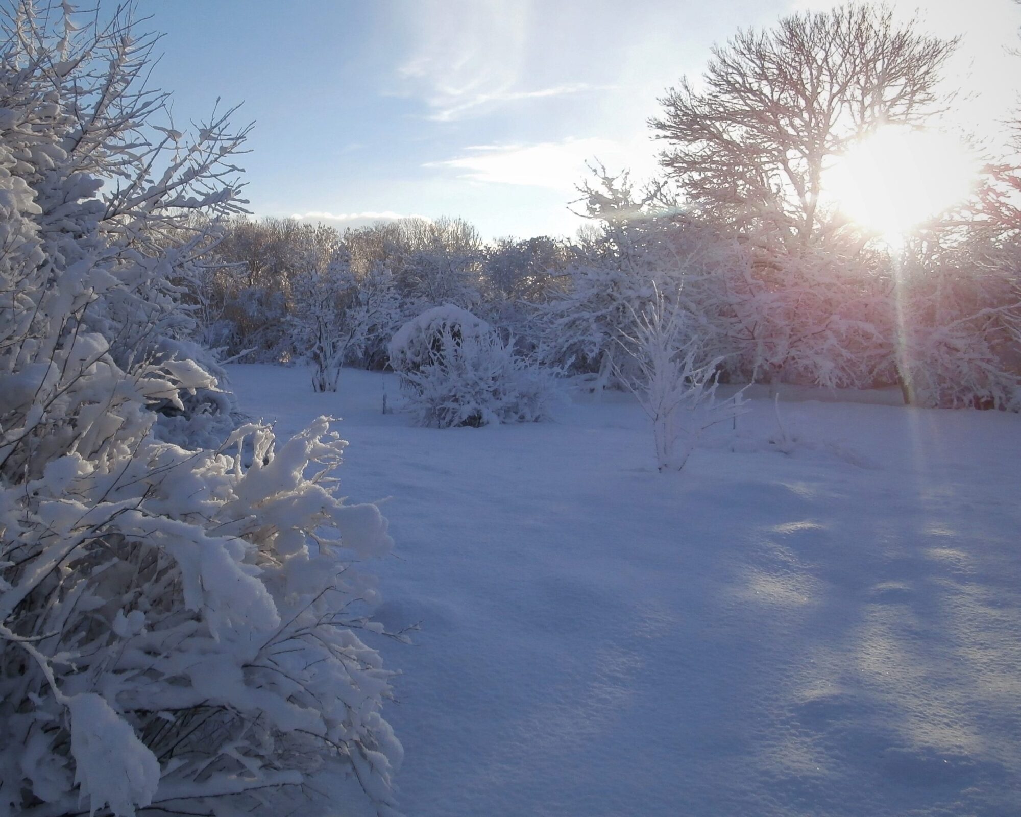 Snowy winter