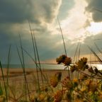 A thunderstorm is coming