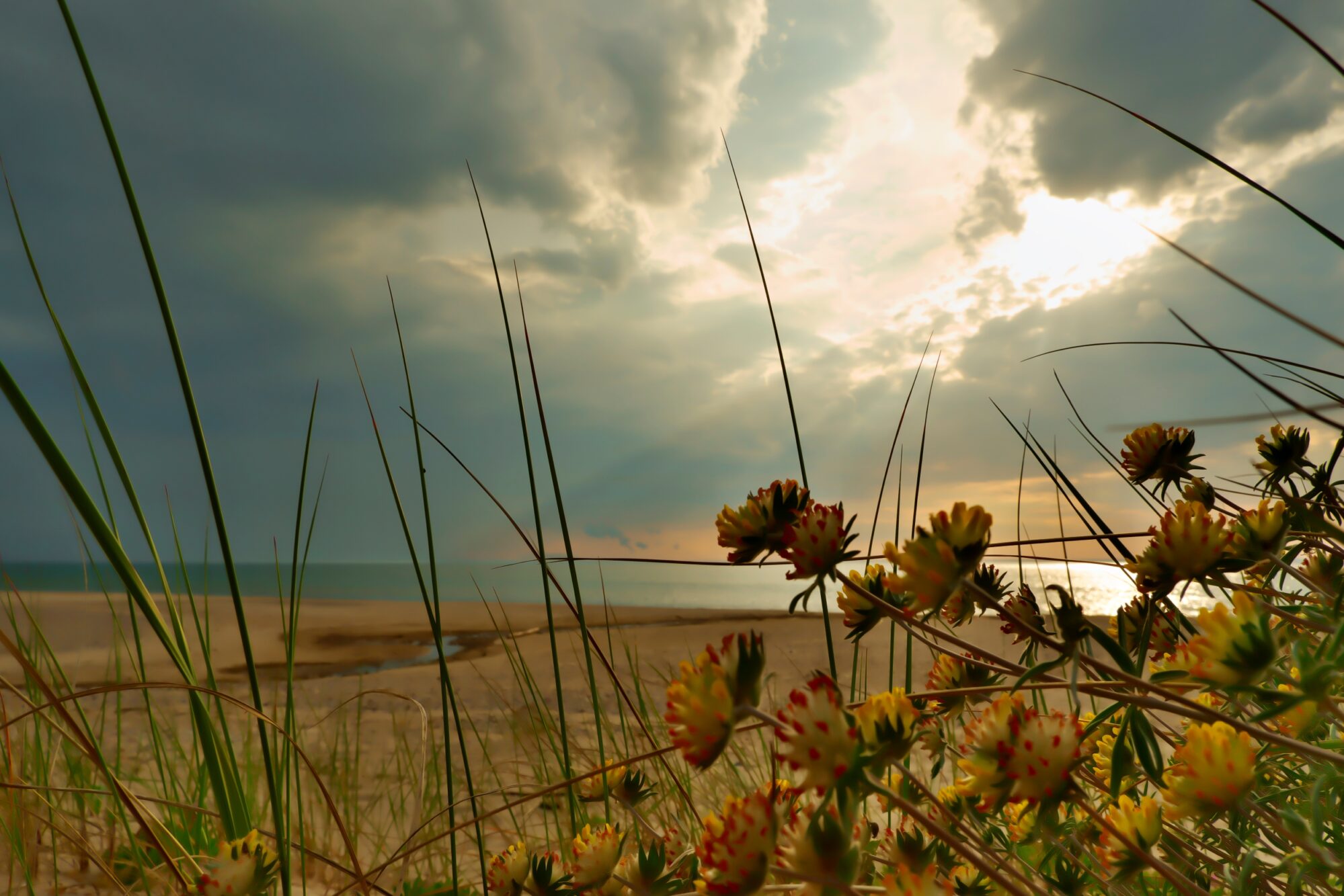 A Thunderstorm is Coming post thumbnail image