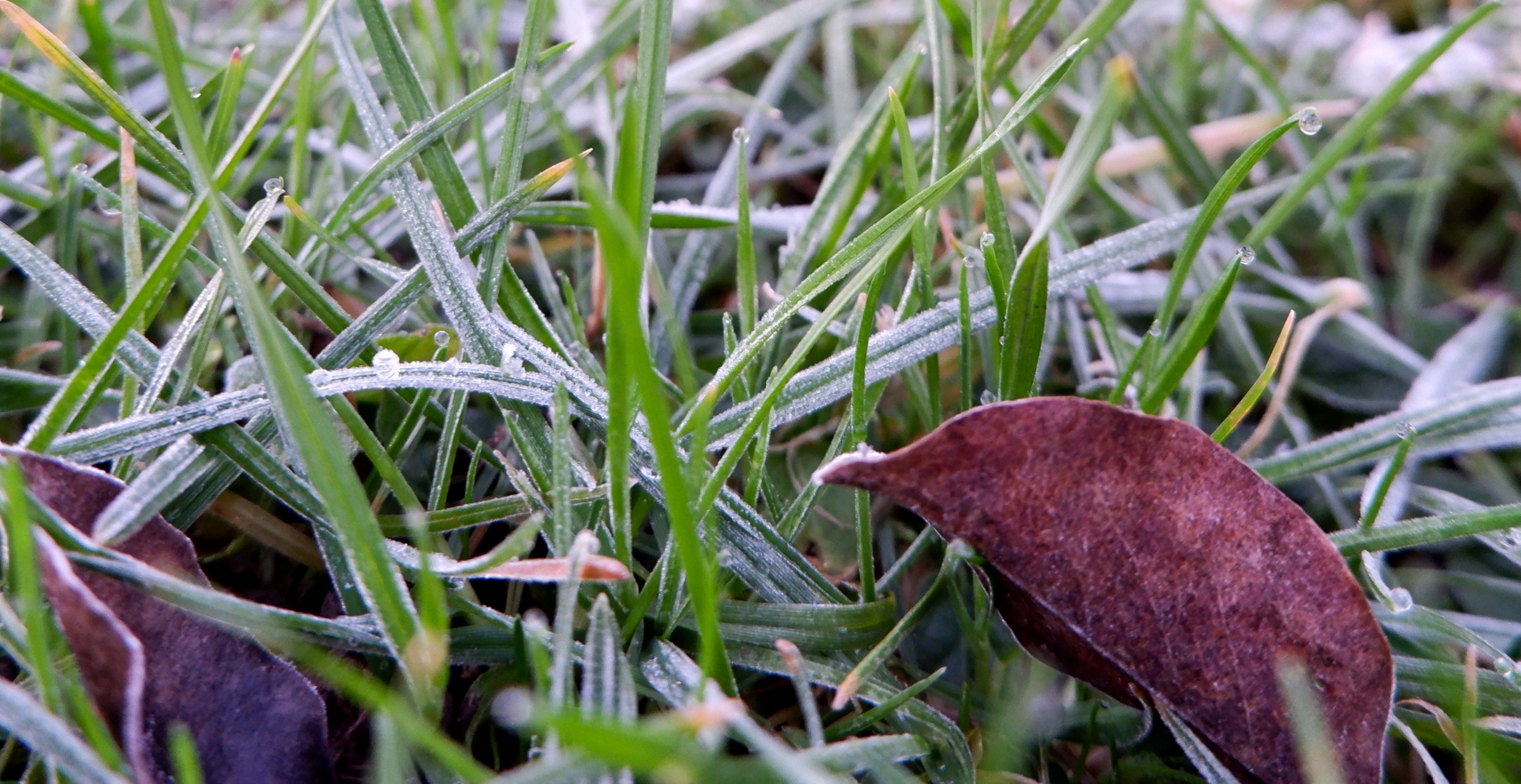 When autumn, winter and spring meet