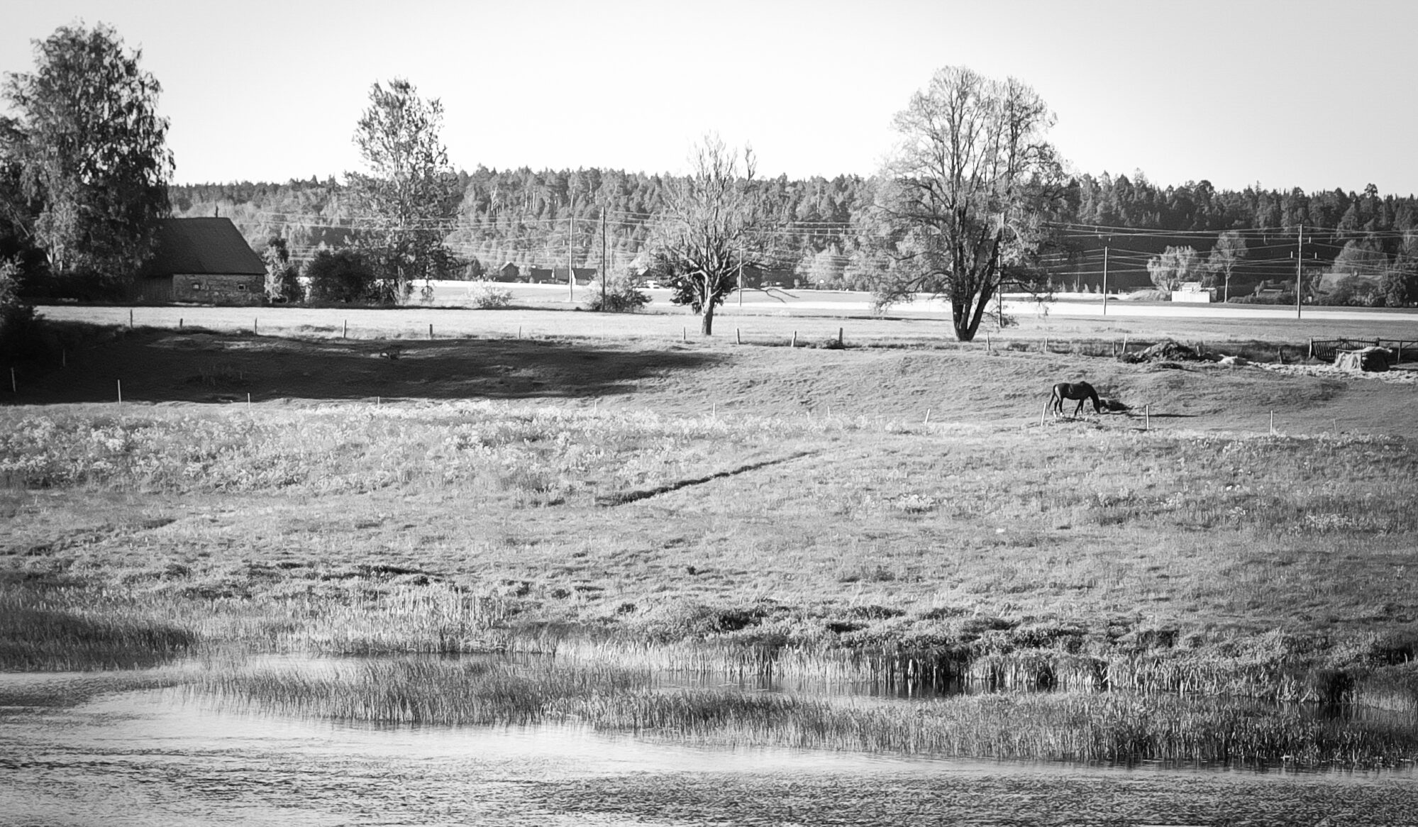 Black and white landscape photography