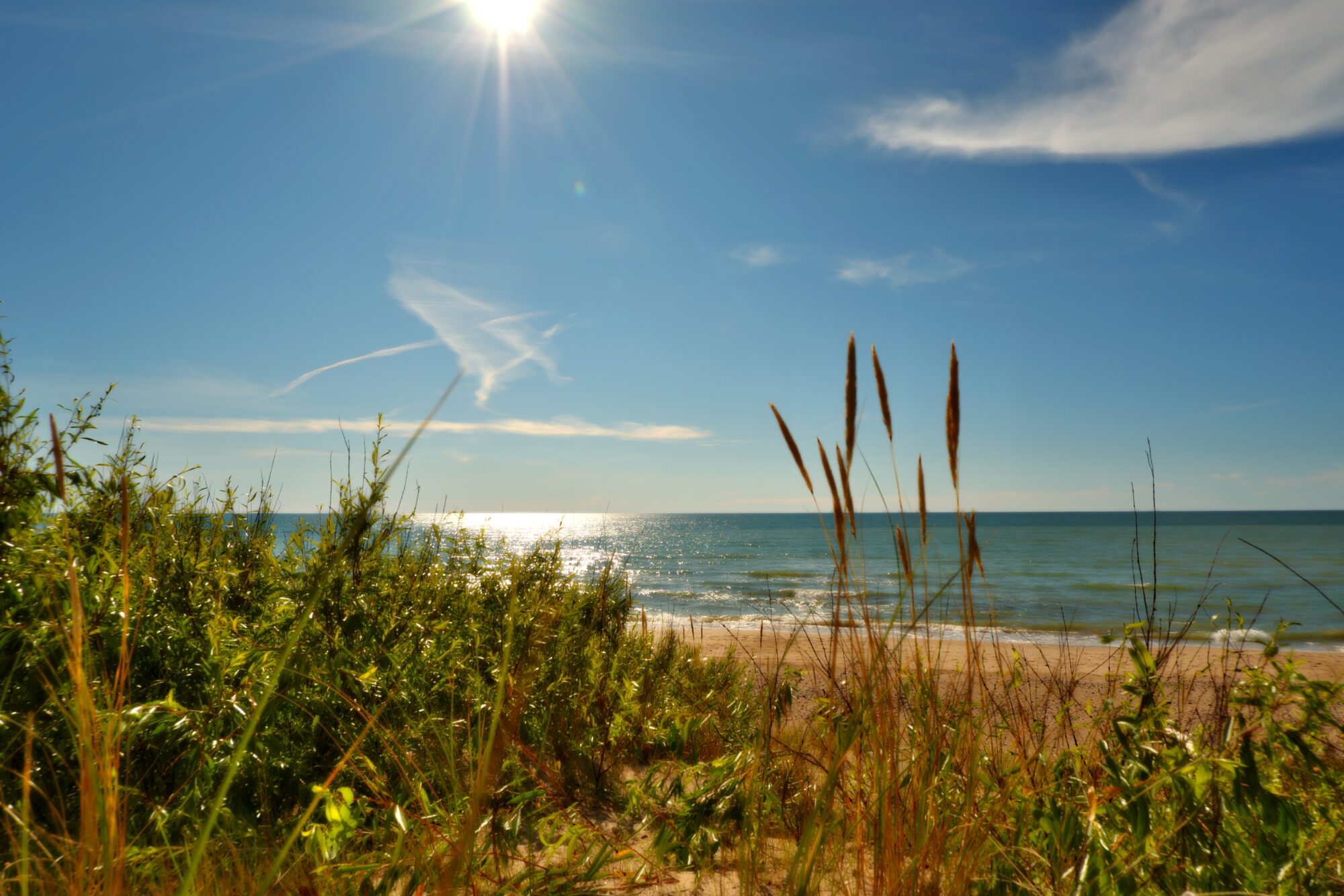 In the Baltic Sea Coast