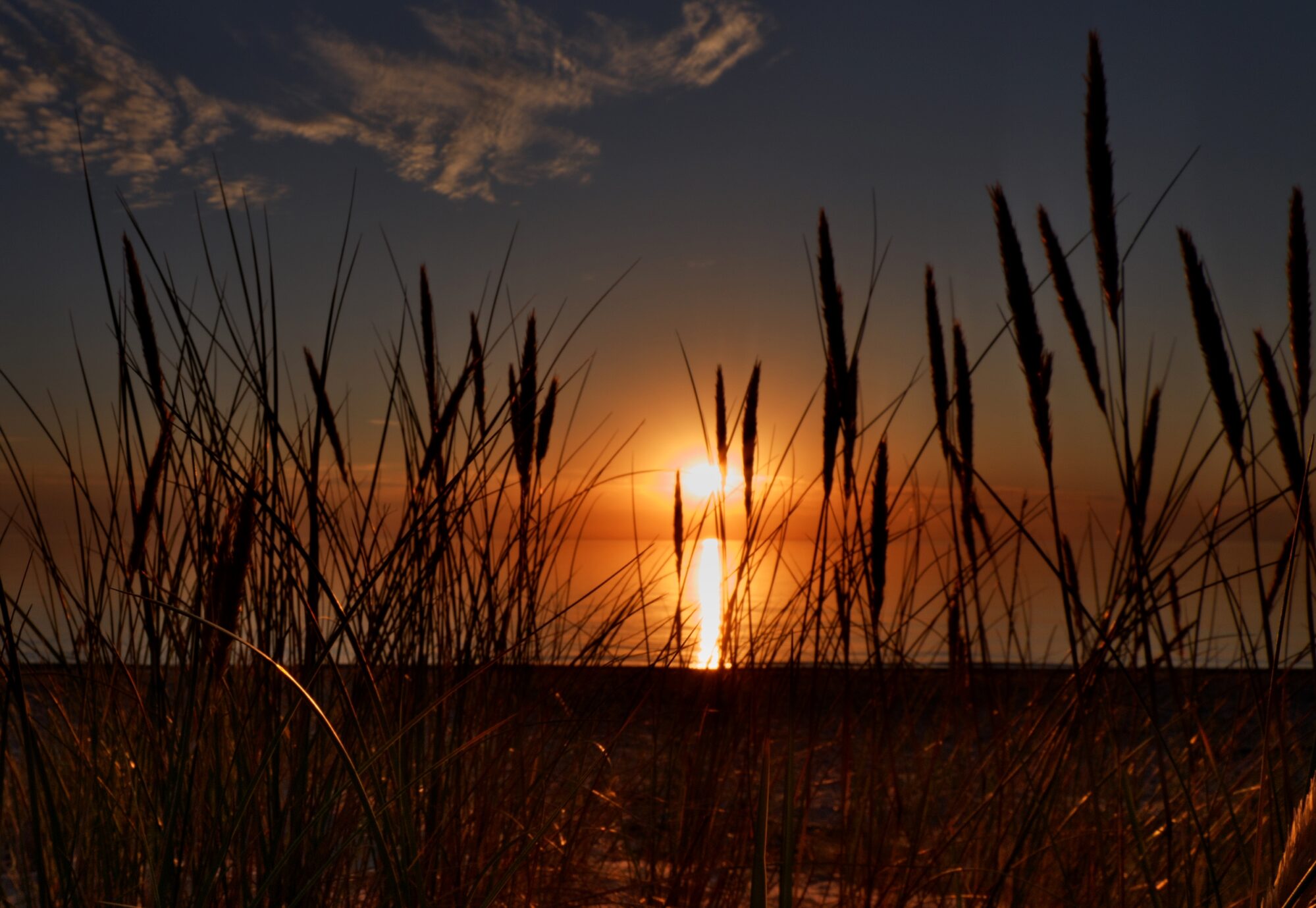 At sunset by the sea