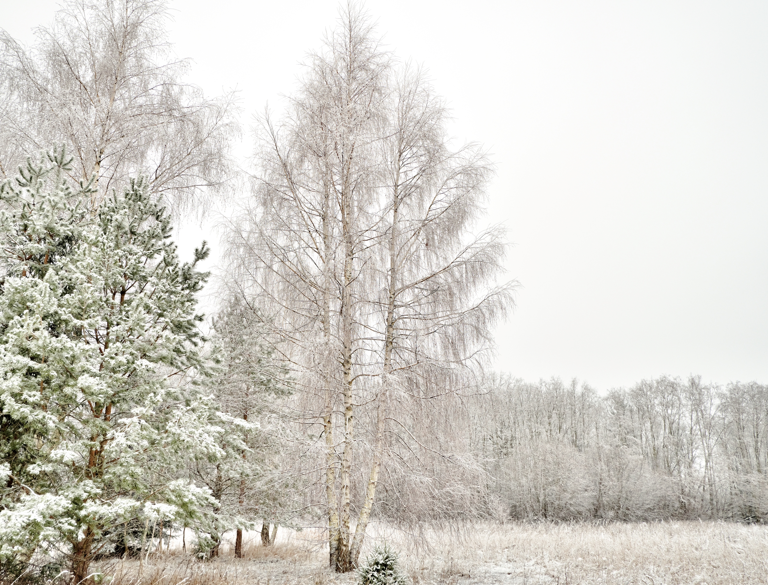 Winter landscape photography