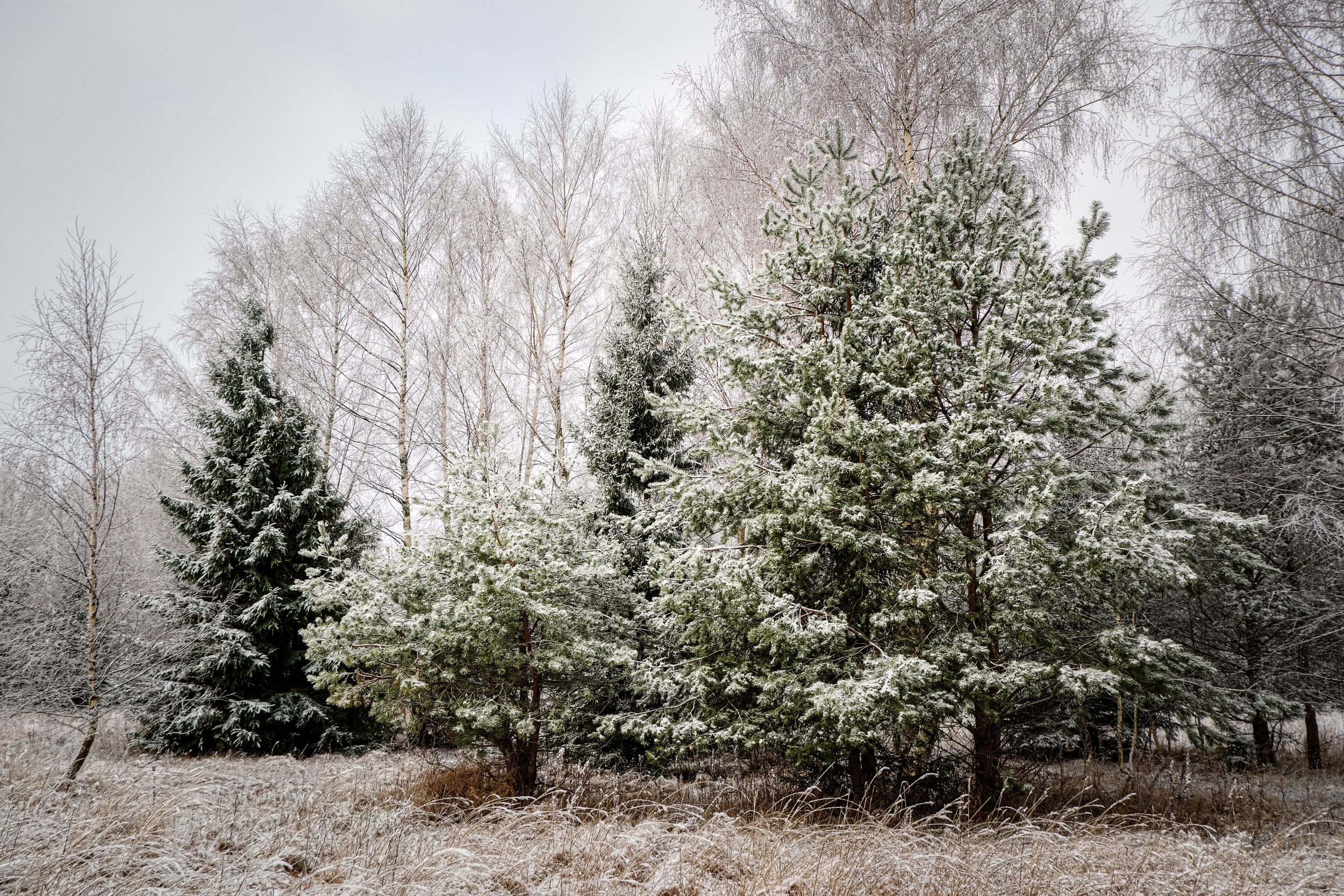 Winter landscape photography