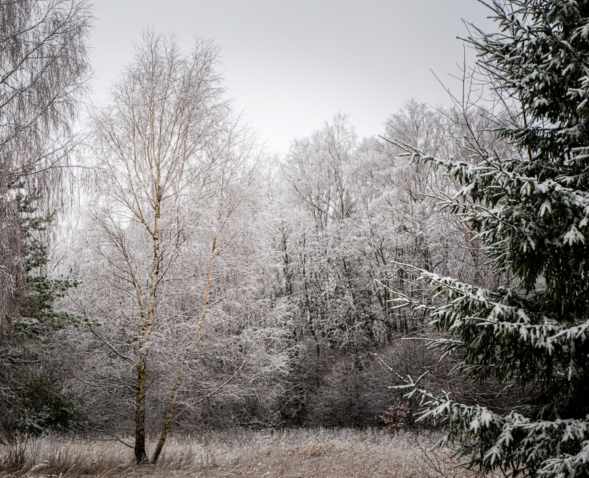 Winter landscape photography