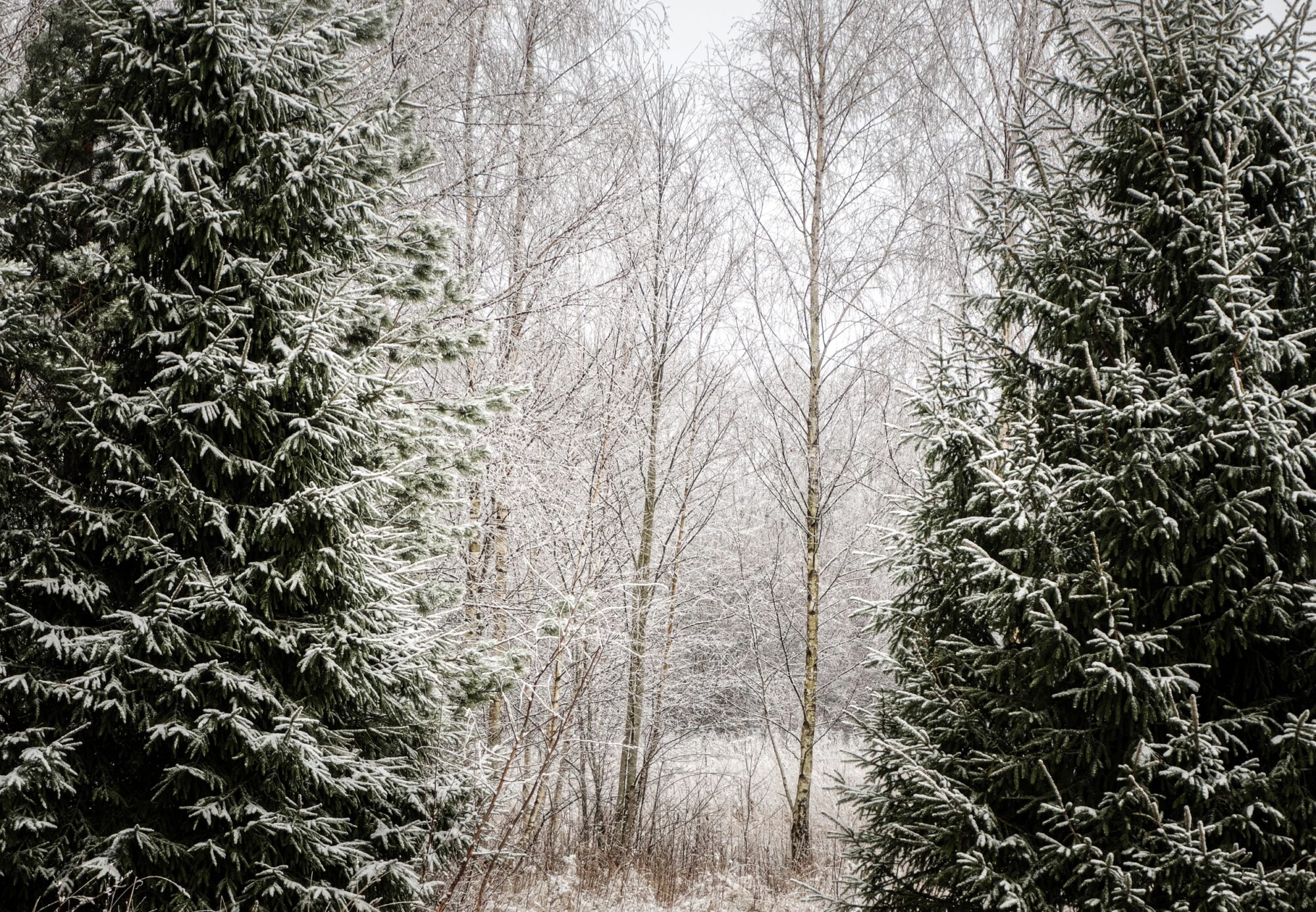 Winter landscape photography