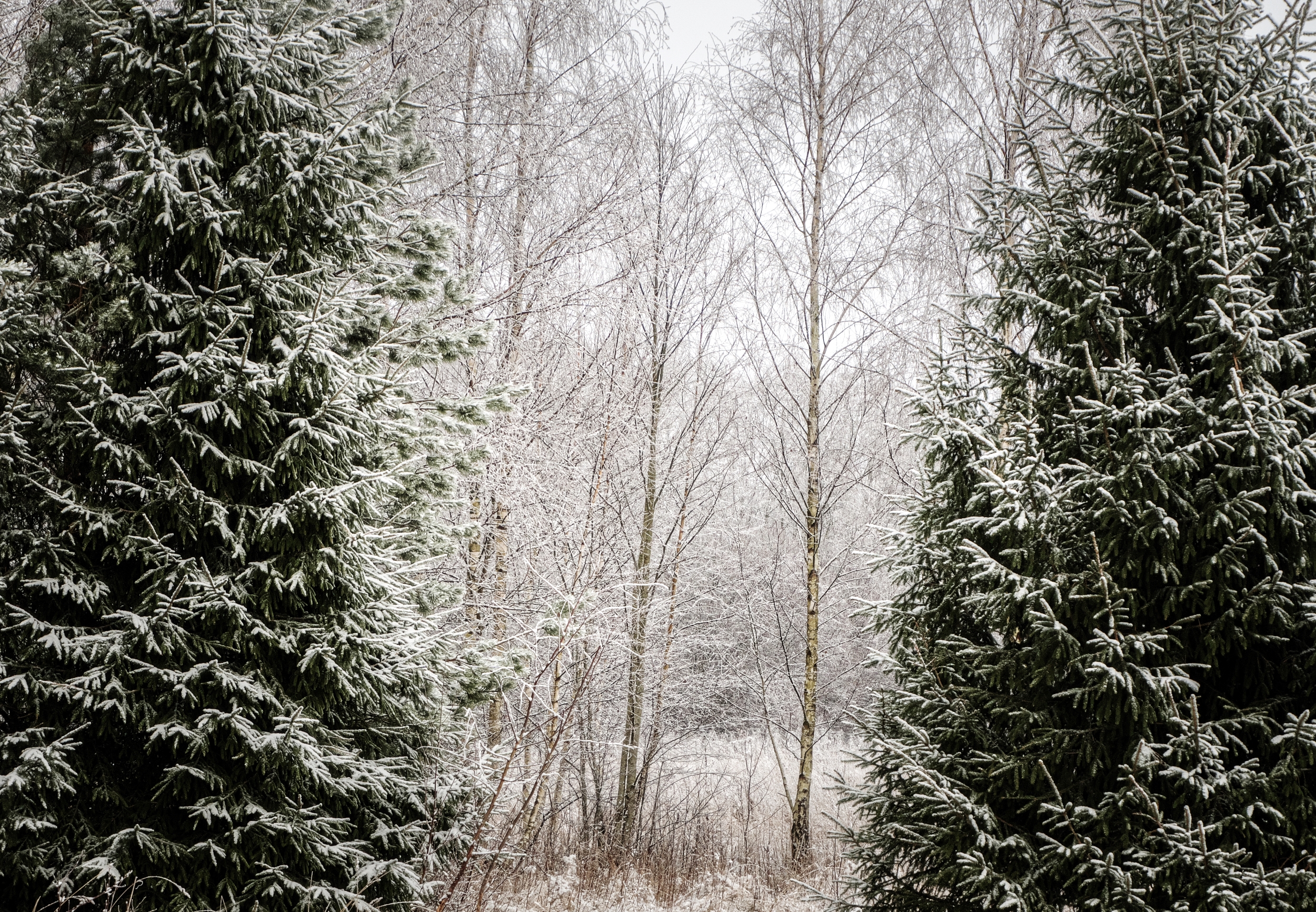 Winter landscape photography