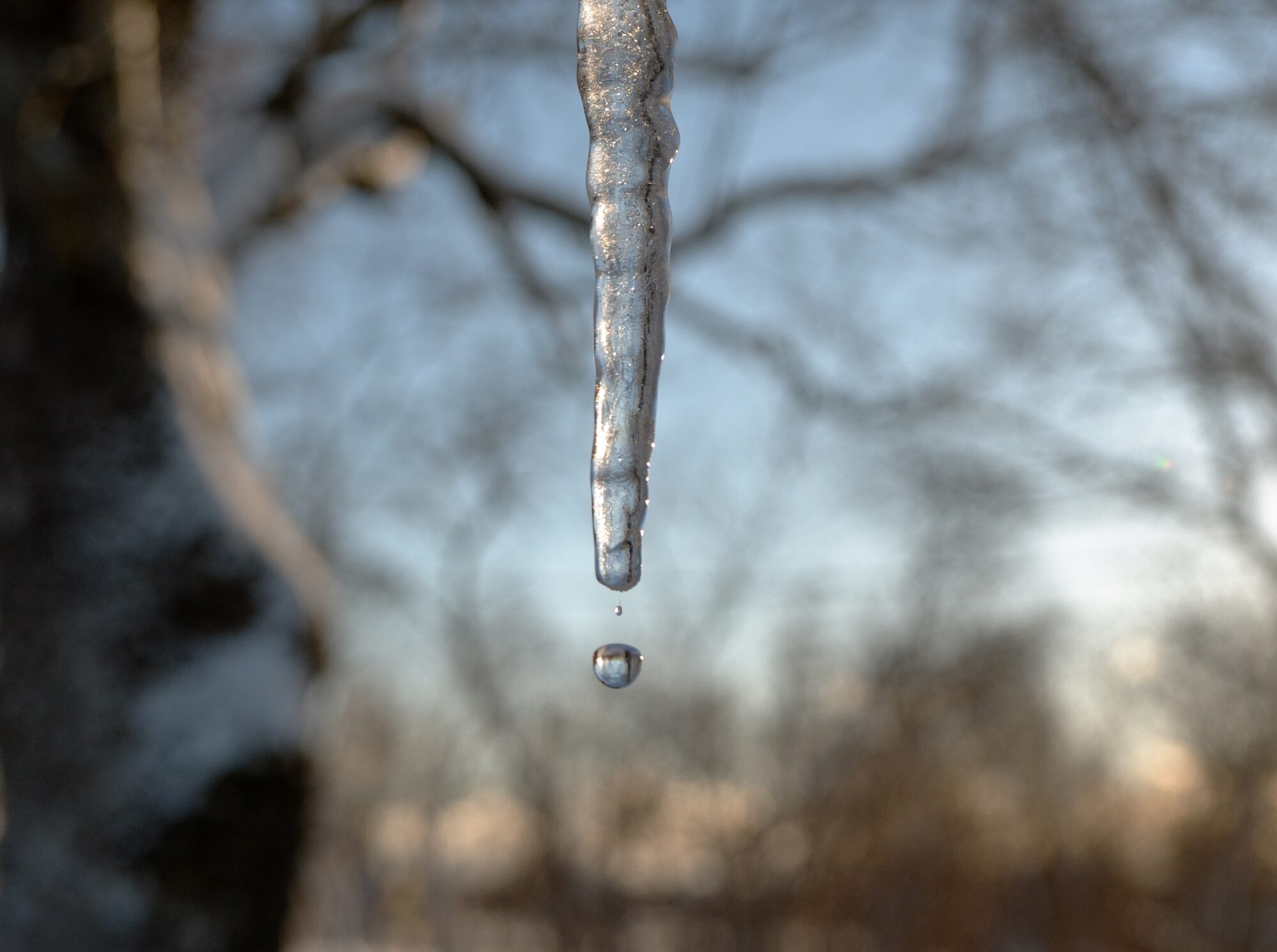 Winter landscape photo