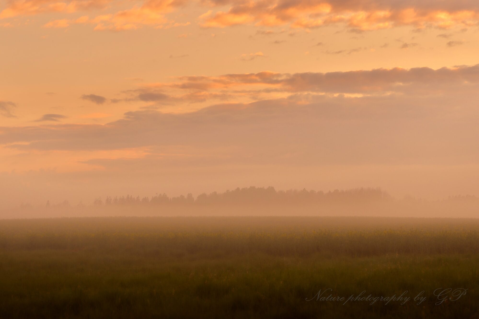 Foggy May evening