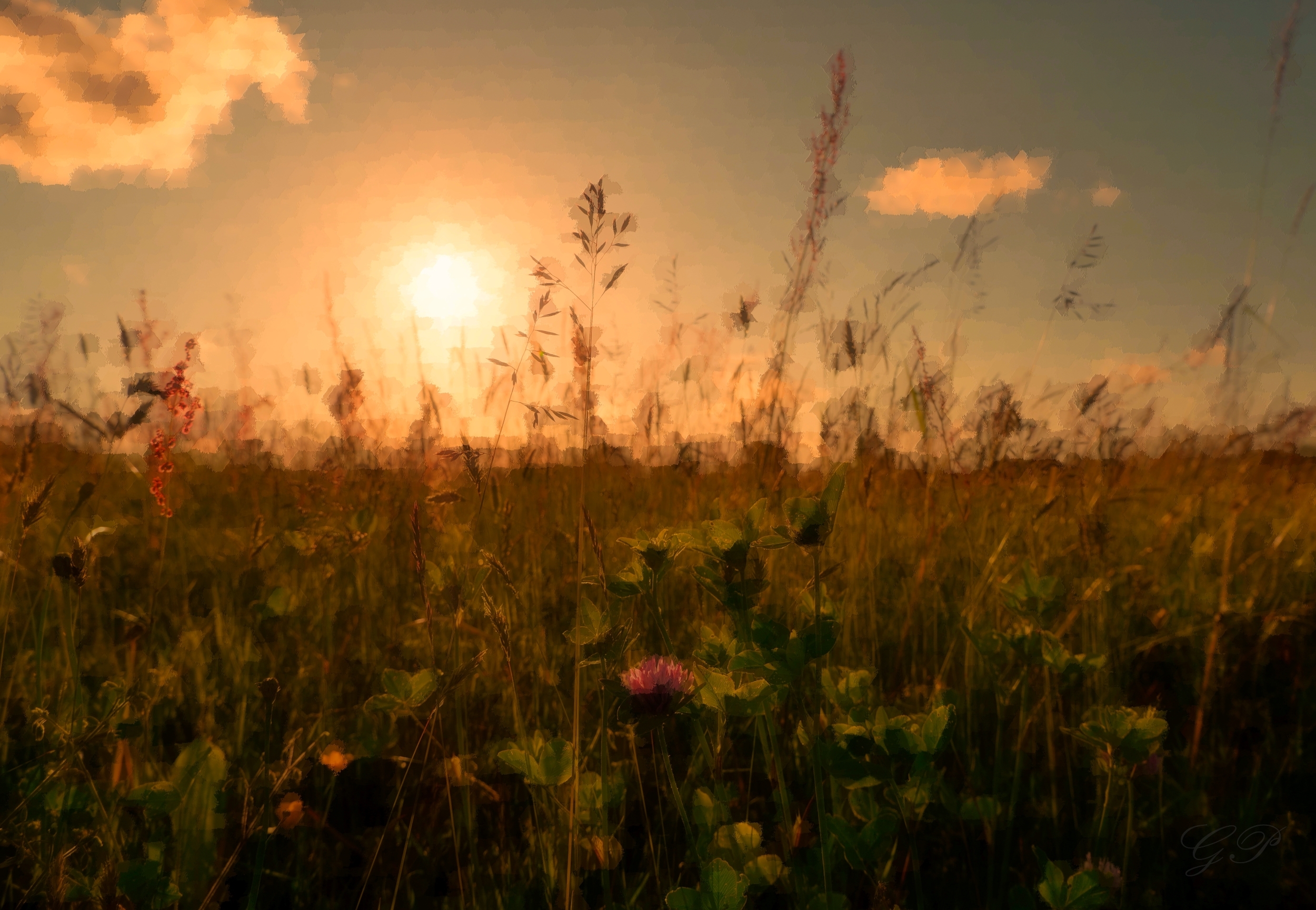 Summer Solstice Evening