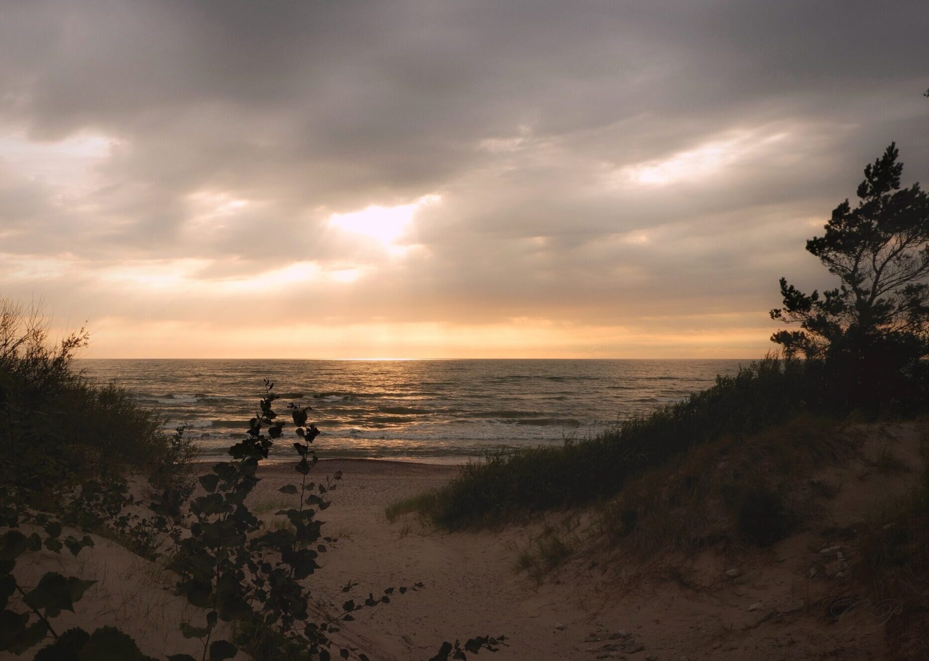 Beach Sunset