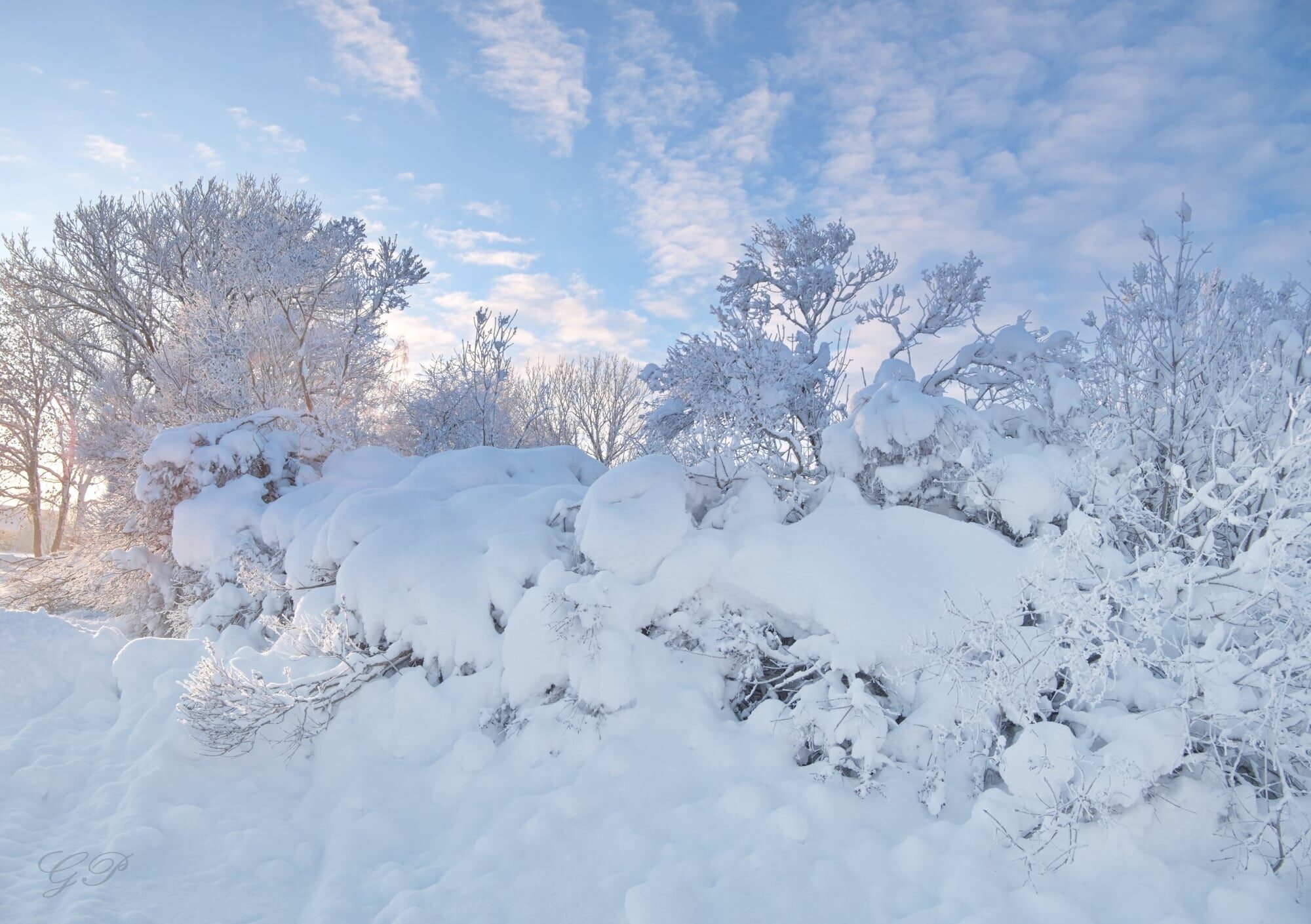 It Has Snowed a Lot