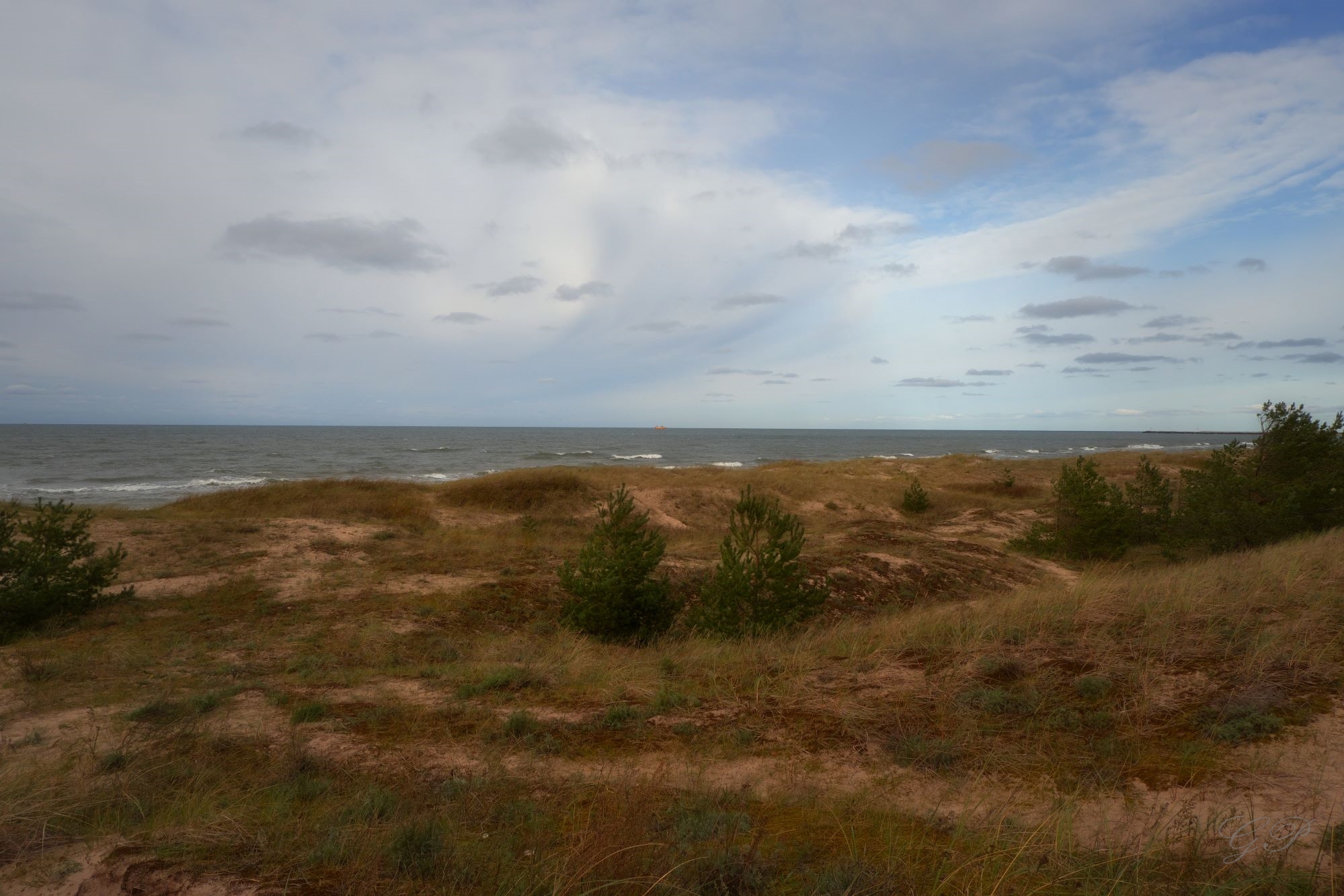 Baltic Sea Coast